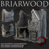 "Briarwood in flames", Shop 2 ruins