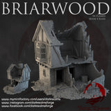 "Briarwood in flammes", house 4 ruins