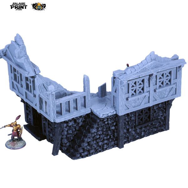 "Barrenfall", house ruin 2