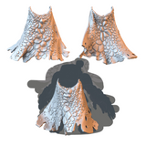 "Draconis" Cape