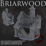 "Briarwood", Maison 5 en ruine