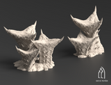 "Tulipa Assimilated" : Platforms