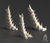 "Tulipa Assimilated" : Talons