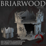 "Briarwood in flames", house 1 ruins