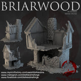 "Briarwood in flames", house 3 ruins