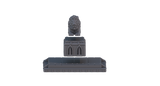 "Cityfight"  Statue de lion