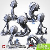 "txarli factory", Set de spores
