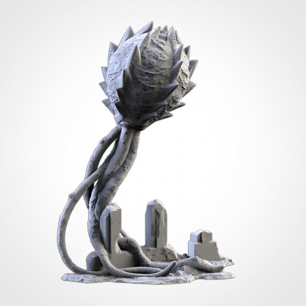 "txarli factory", Set de spores