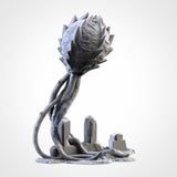 "txarli factory", Set de spores