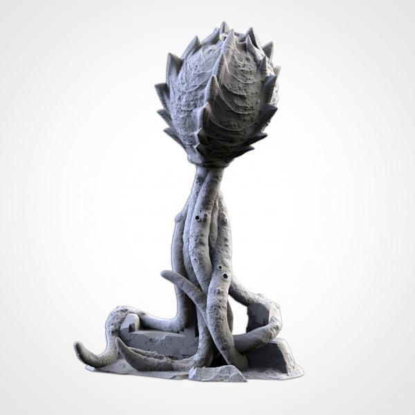 "txarli factory", Set de spores